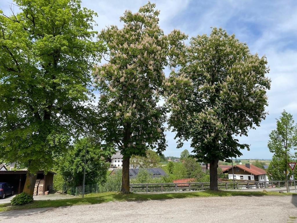 Ferienwohnung Meridiana Tuntenhausen Exteriér fotografie